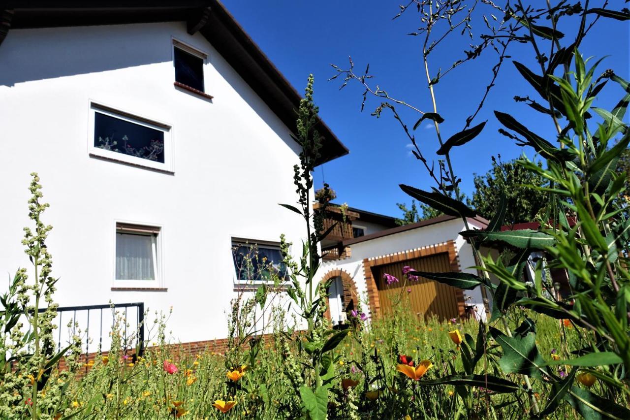 Ferienwohnung-M8 Im Schoenen Werratal Jestadt 외부 사진