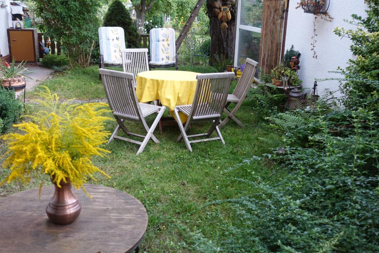 Ferienwohnung-M8 Im Schoenen Werratal Jestadt 외부 사진